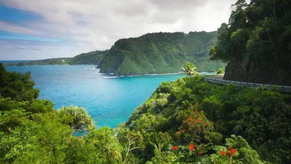 Beautiful blue water of Hawaii surrounded by lush green mountains. There is also a road going through the mountains and over the water.