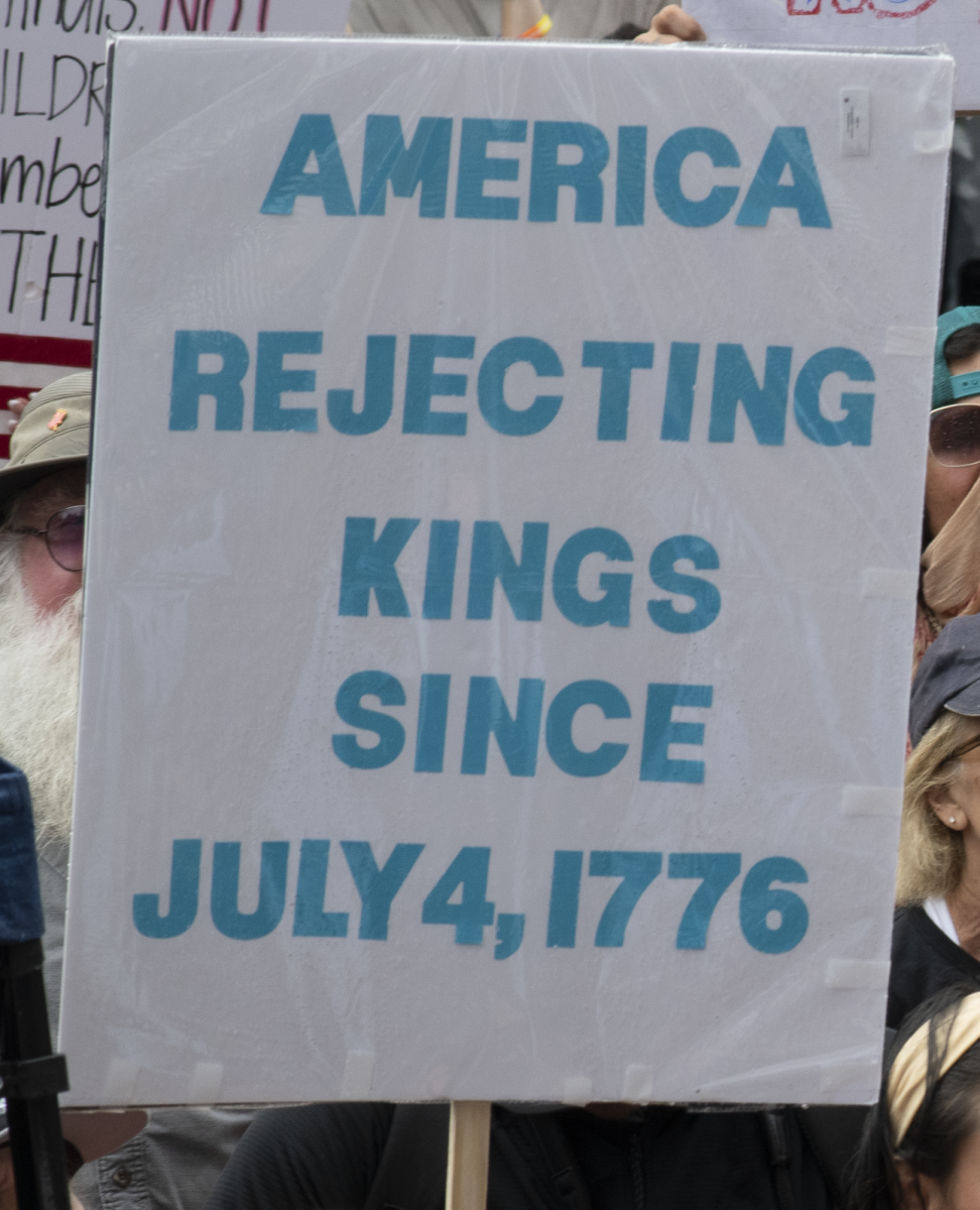A person carries a sign protesting Donald Trump in June 2025.